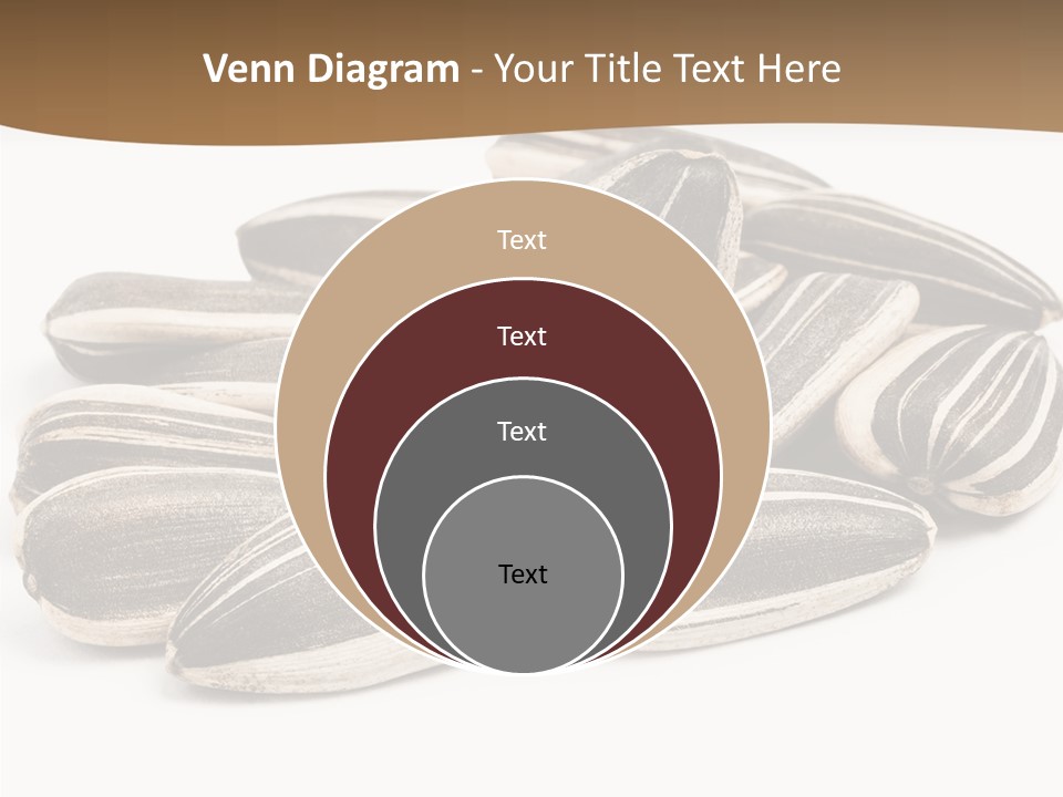 Closeup White Studio PowerPoint Template