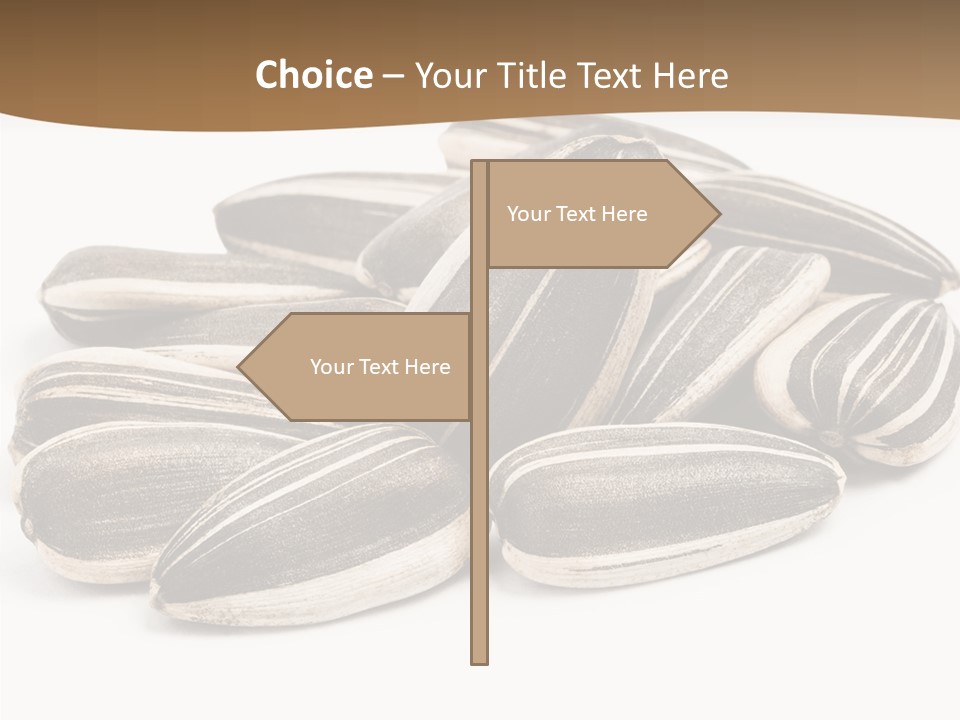 Closeup White Studio PowerPoint Template