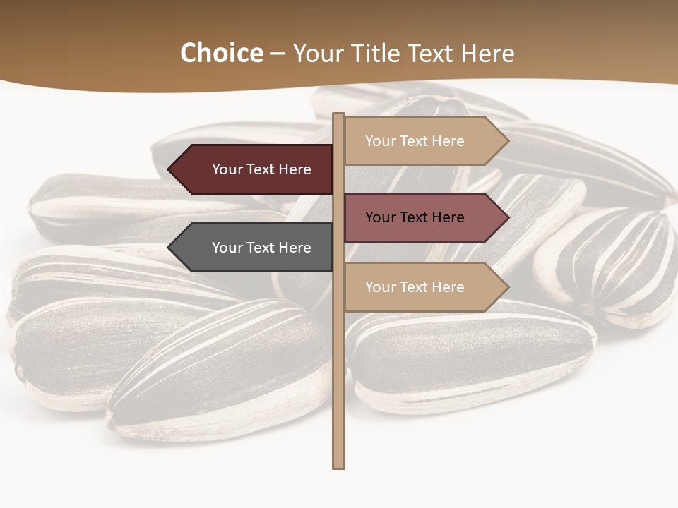 Closeup White Studio PowerPoint Template