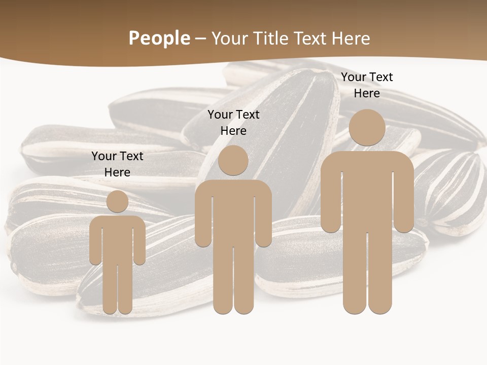 Closeup White Studio PowerPoint Template