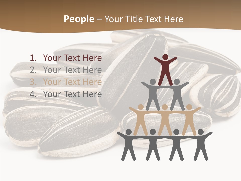 Closeup White Studio PowerPoint Template