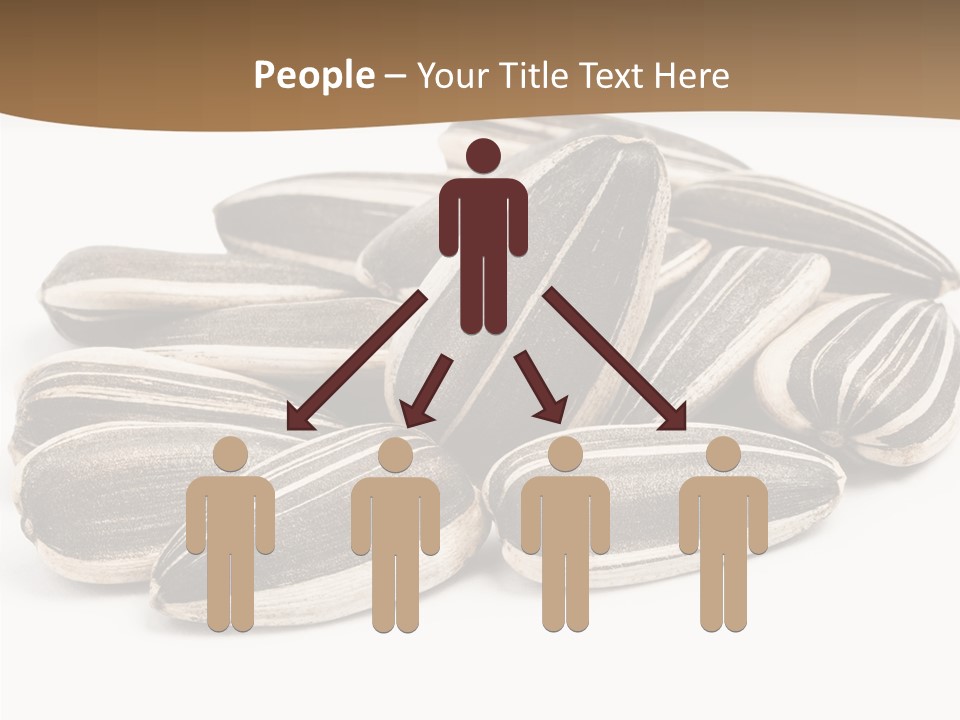 Closeup White Studio PowerPoint Template