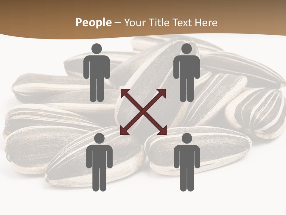 Closeup White Studio PowerPoint Template