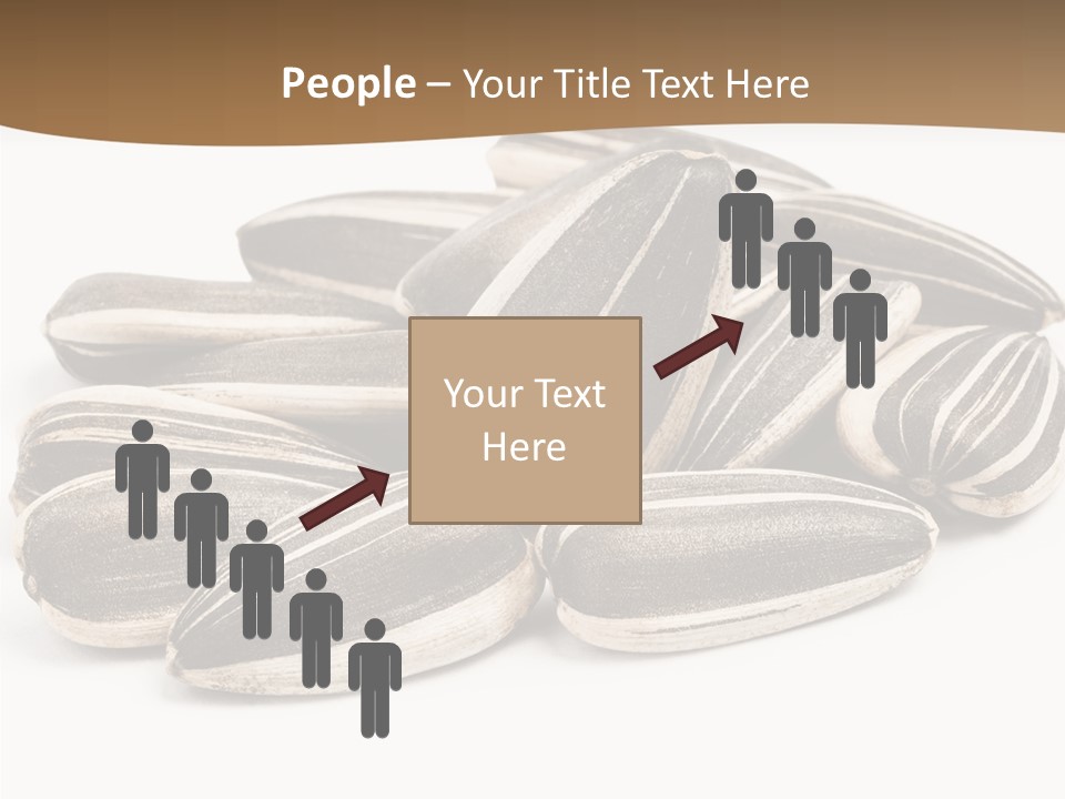 Closeup White Studio PowerPoint Template