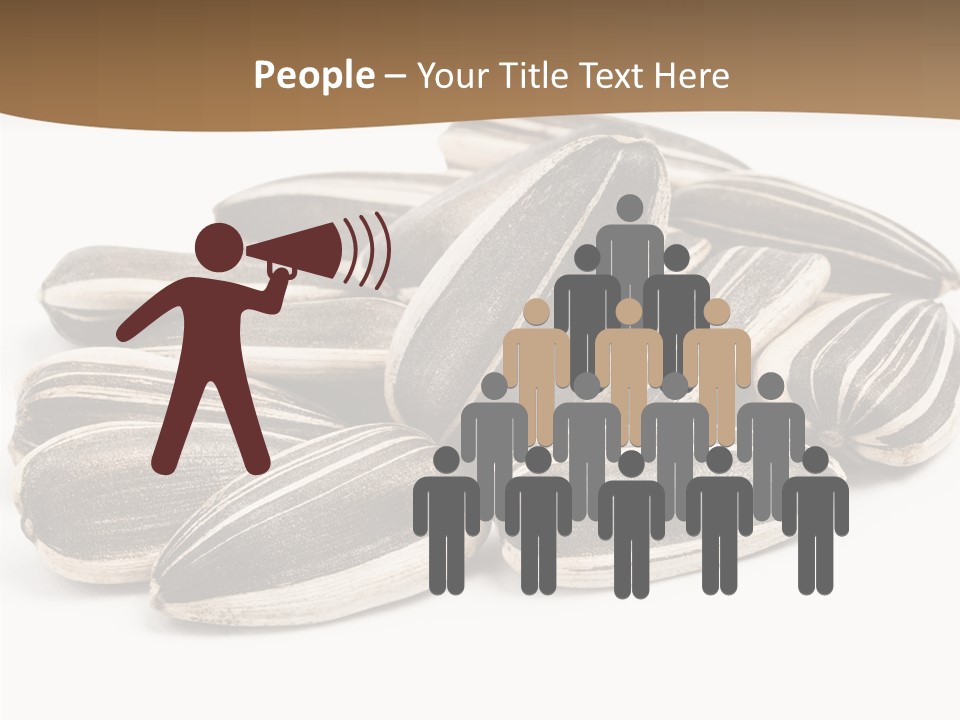 Closeup White Studio PowerPoint Template