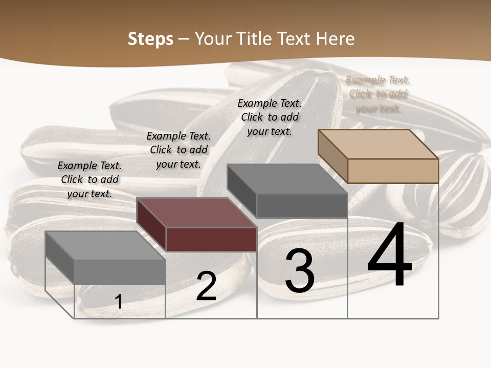 Closeup White Studio PowerPoint Template