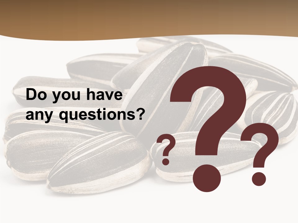 Closeup White Studio PowerPoint Template