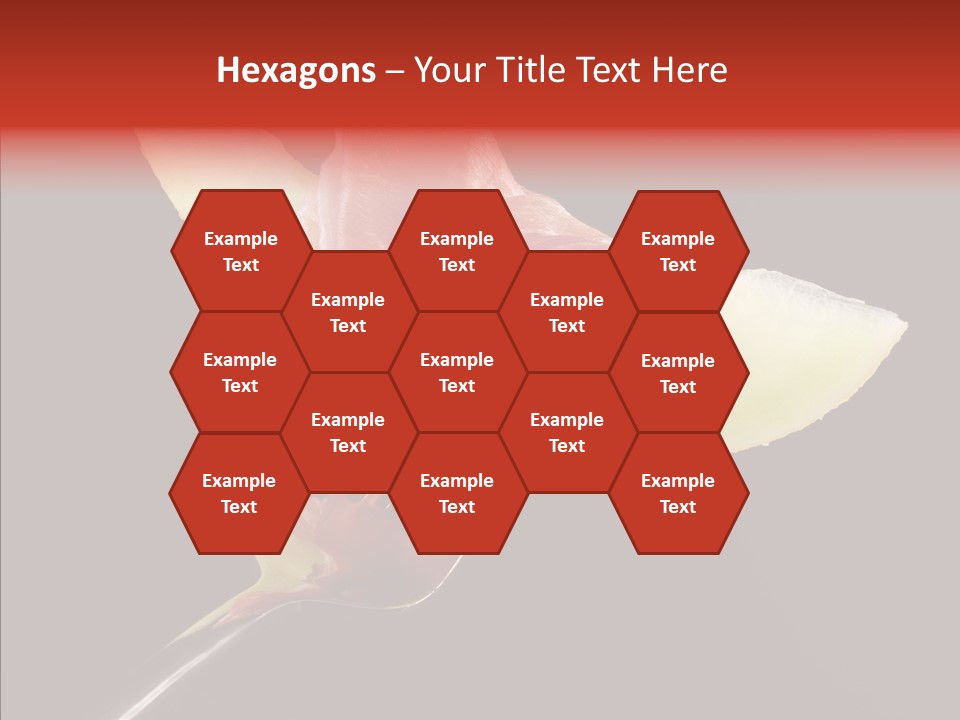 Diet Melon Hors D PowerPoint Template