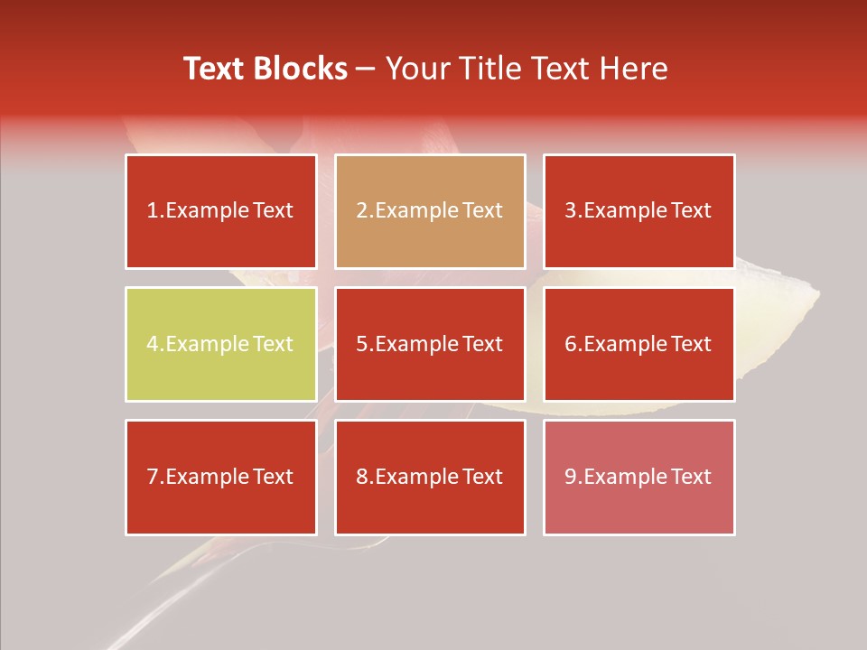 Diet Melon Hors D PowerPoint Template