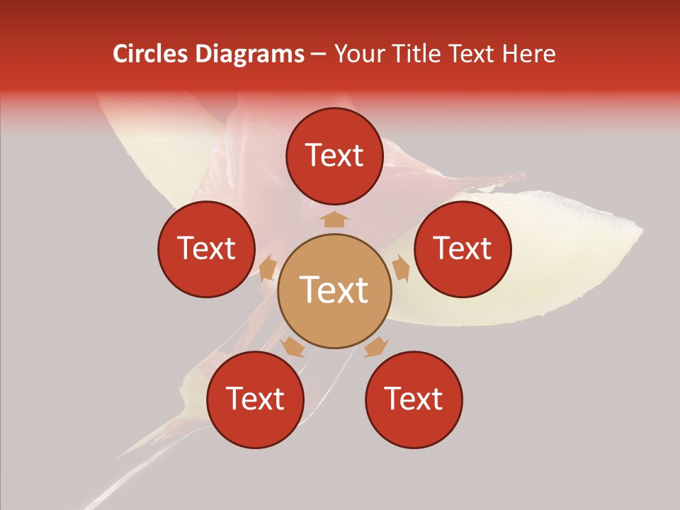 Diet Melon Hors D PowerPoint Template