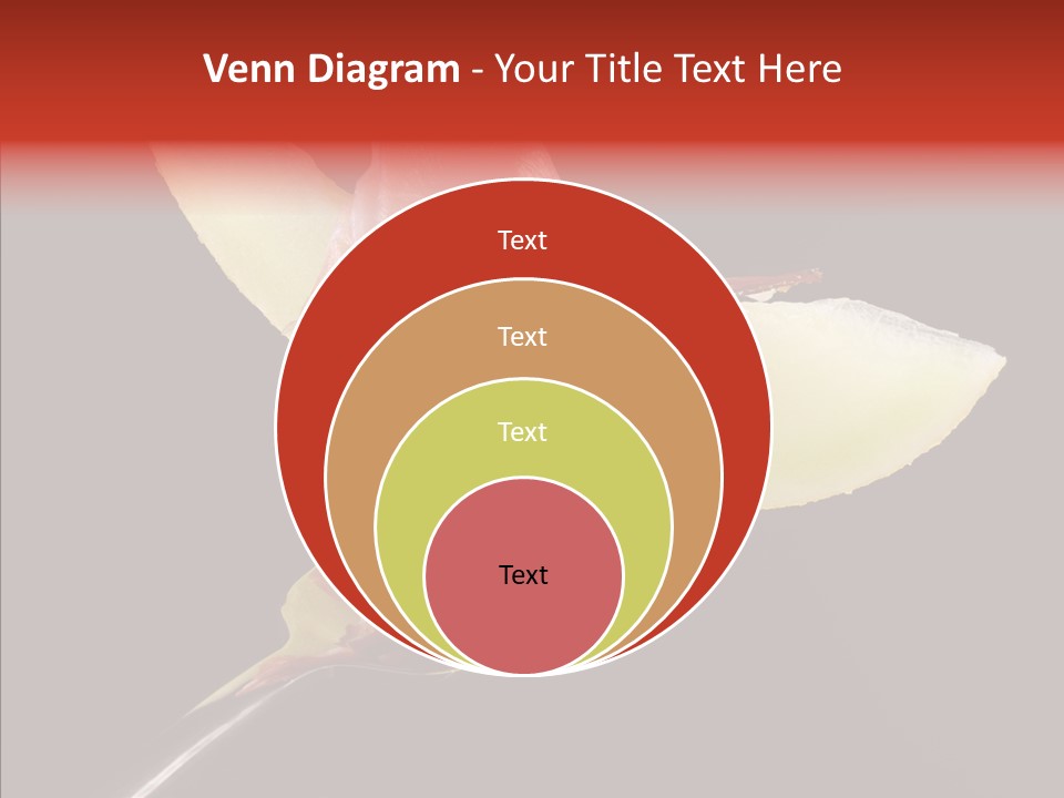 Diet Melon Hors D PowerPoint Template