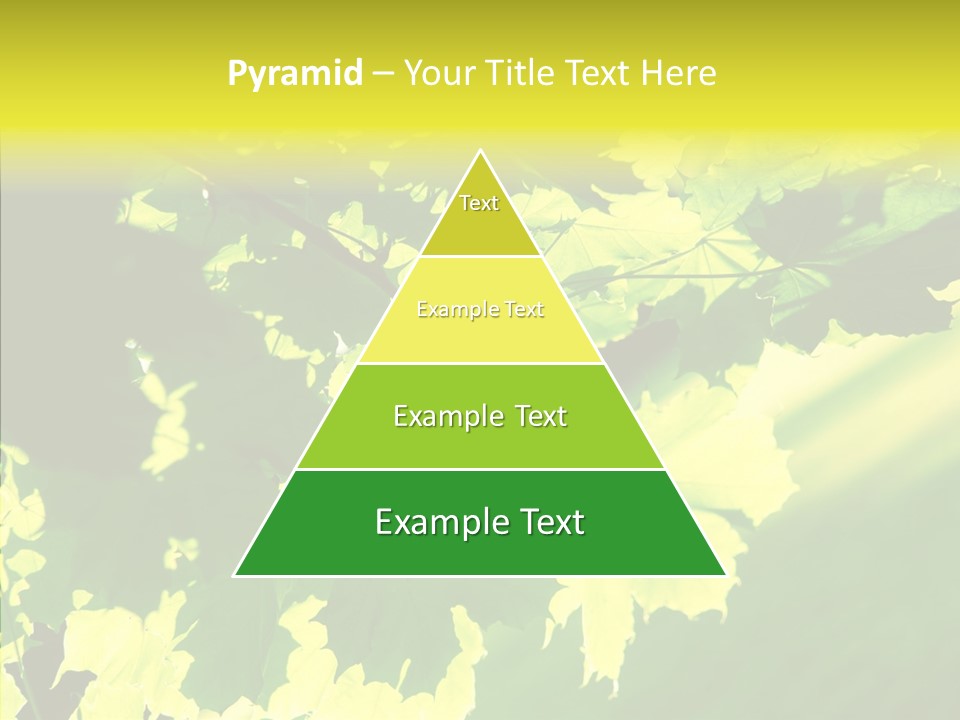 Detail Tree Spring PowerPoint Template