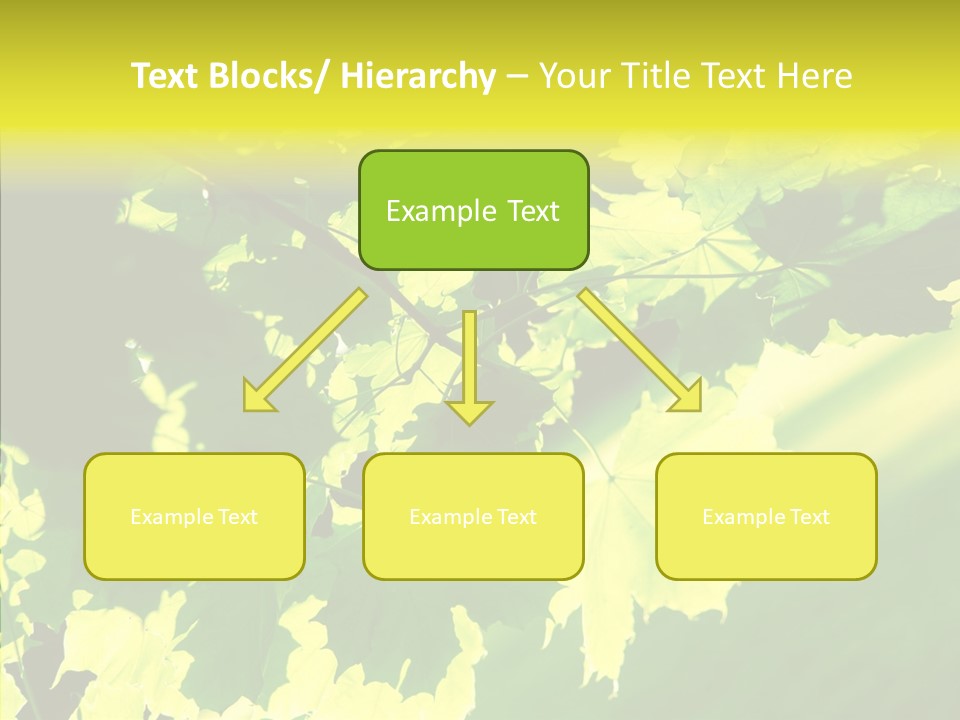 Detail Tree Spring PowerPoint Template