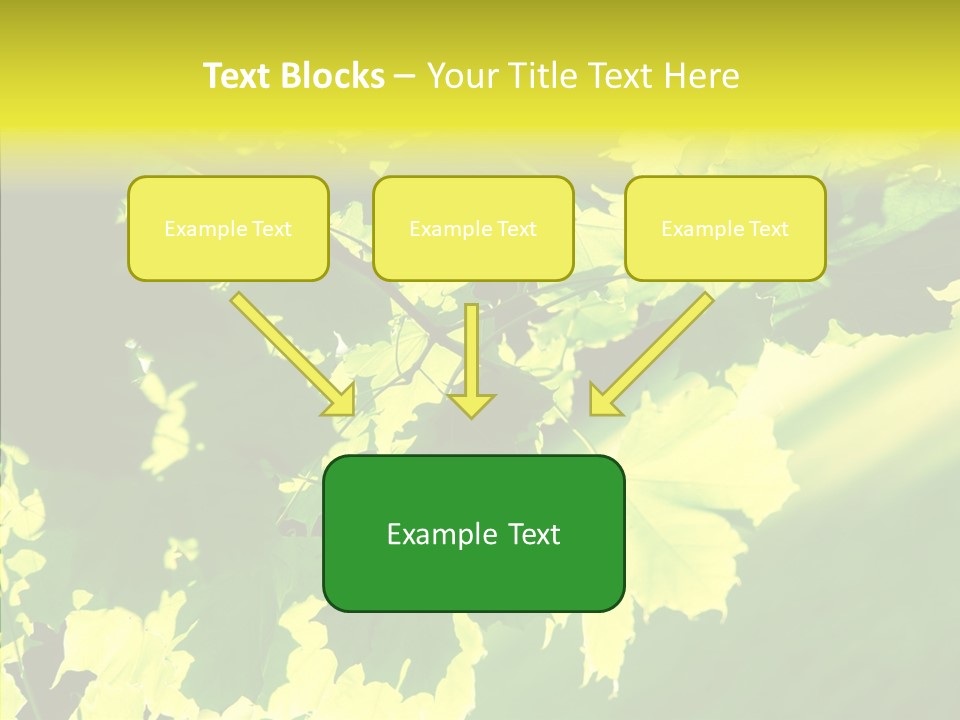 Detail Tree Spring PowerPoint Template