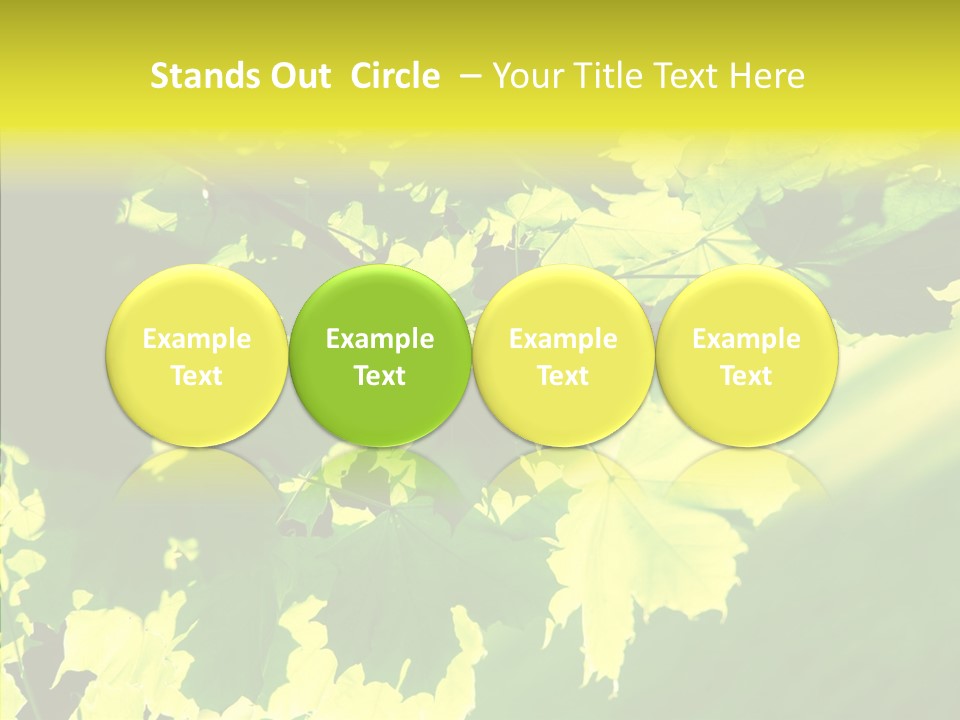 Detail Tree Spring PowerPoint Template