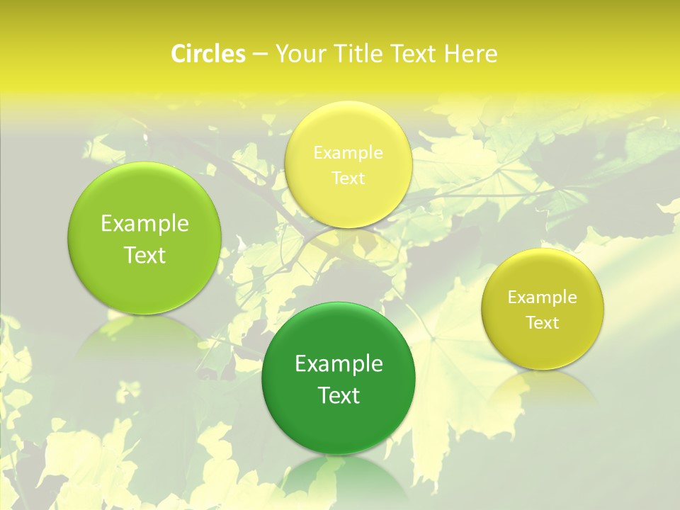 Detail Tree Spring PowerPoint Template