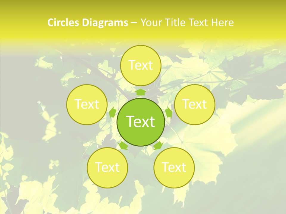 Detail Tree Spring PowerPoint Template