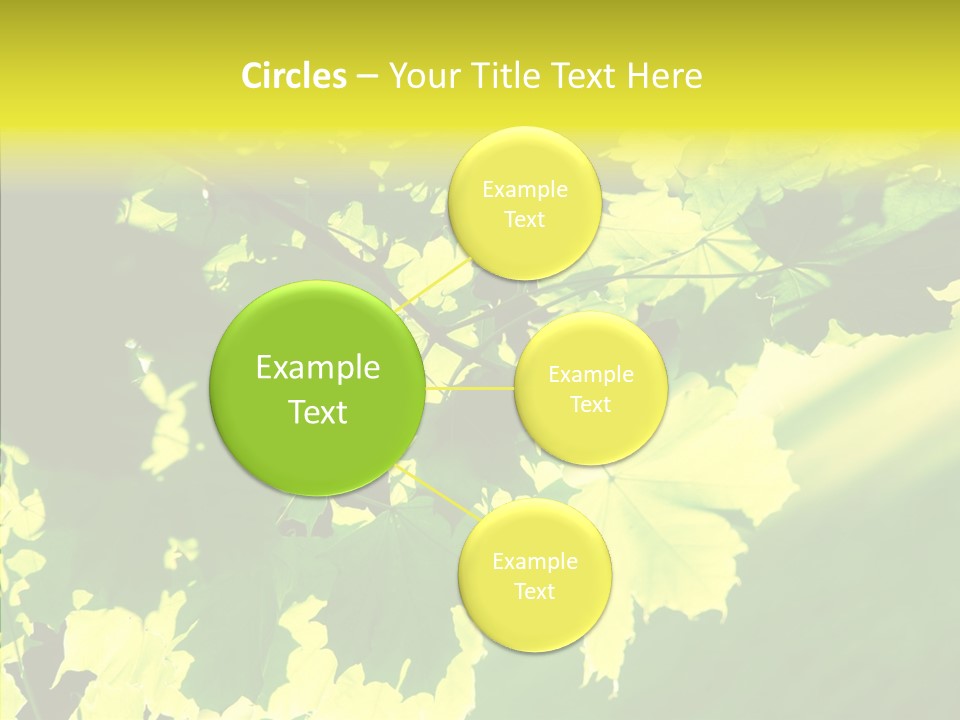 Detail Tree Spring PowerPoint Template