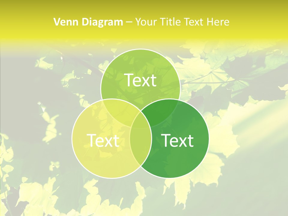 Detail Tree Spring PowerPoint Template