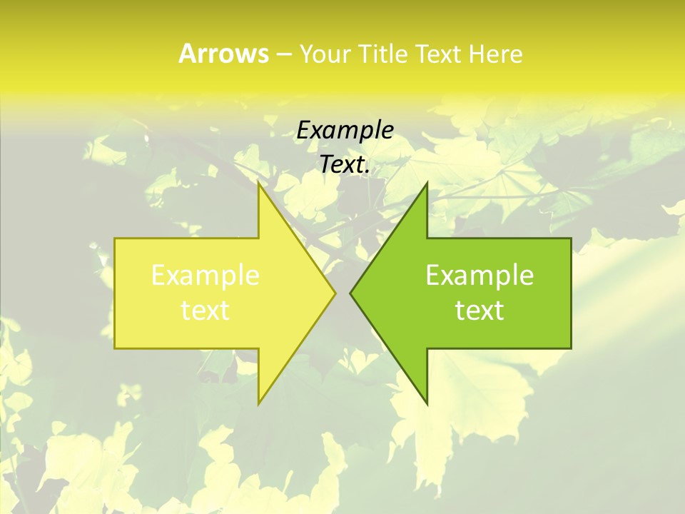 Detail Tree Spring PowerPoint Template