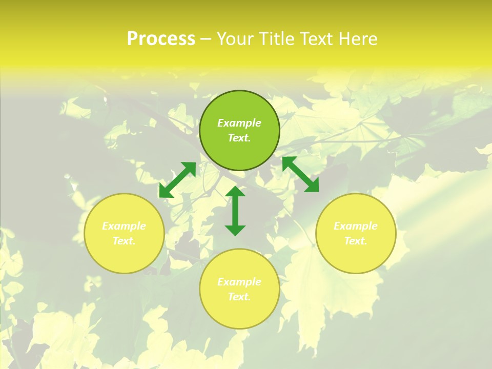 Detail Tree Spring PowerPoint Template