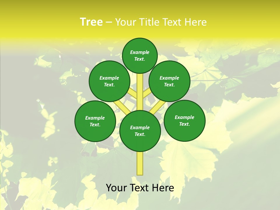 Detail Tree Spring PowerPoint Template