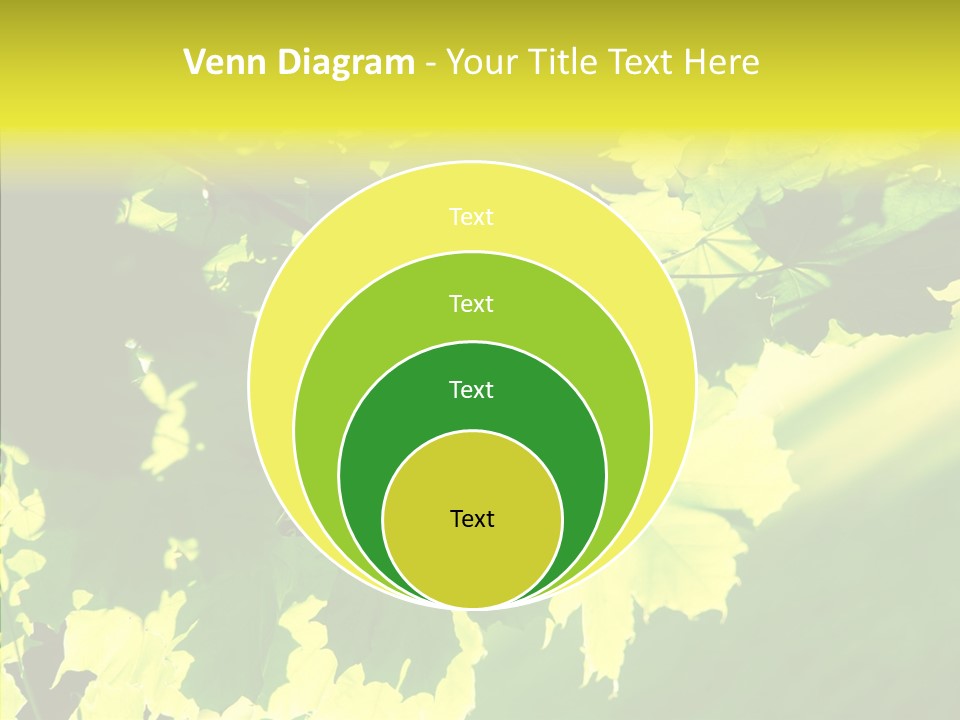 Detail Tree Spring PowerPoint Template