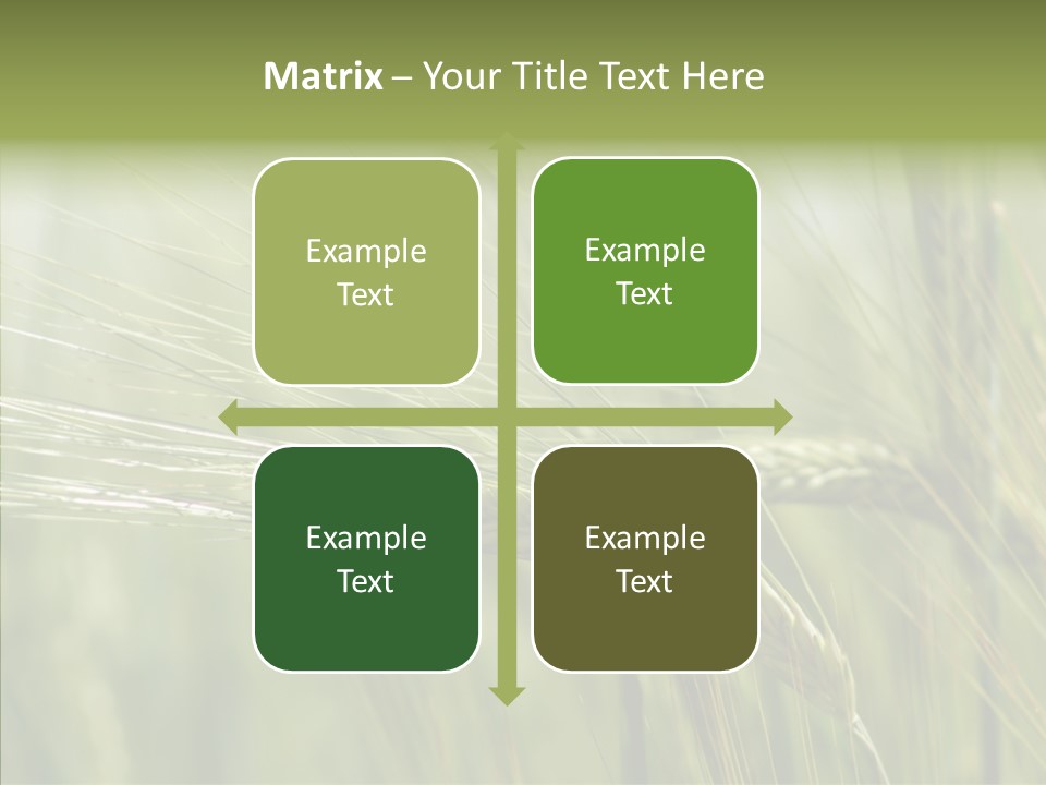 Harvest Reaping Kernel PowerPoint Template