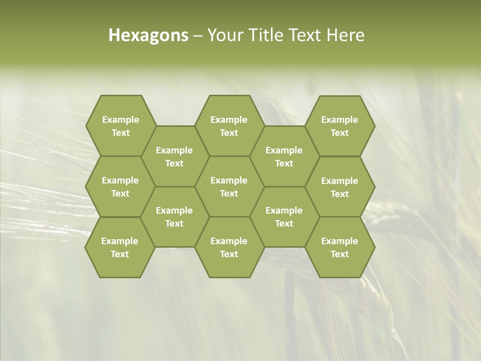 Harvest Reaping Kernel PowerPoint Template