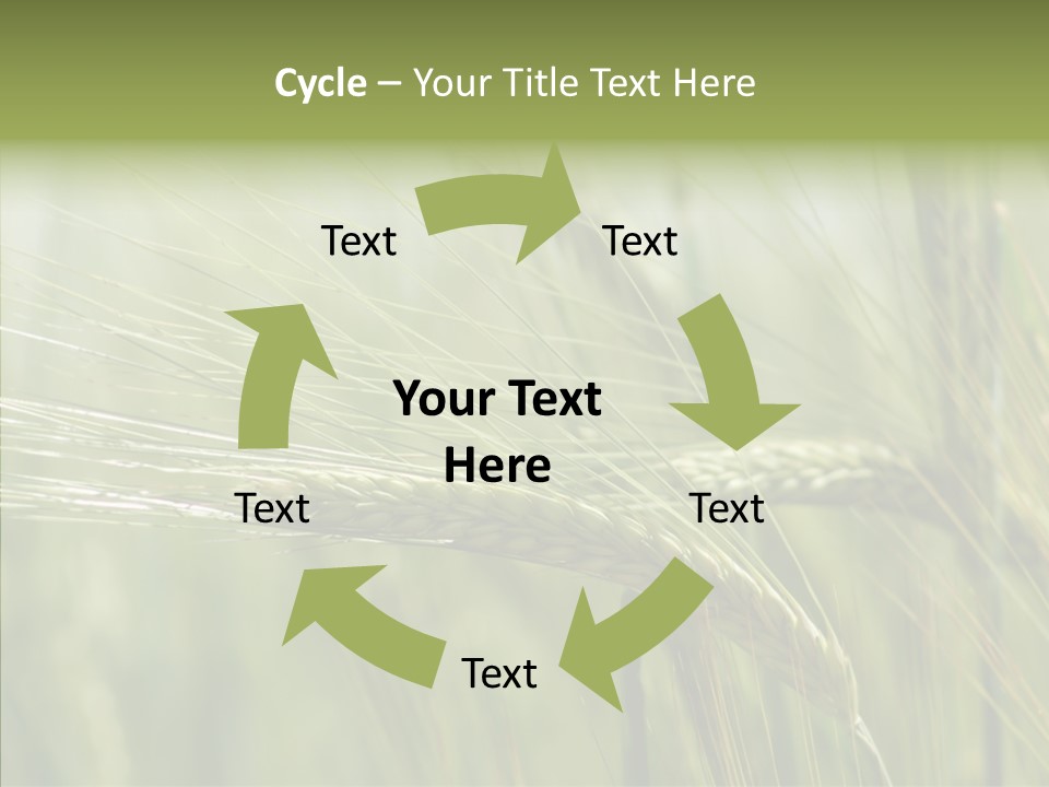 Harvest Reaping Kernel PowerPoint Template
