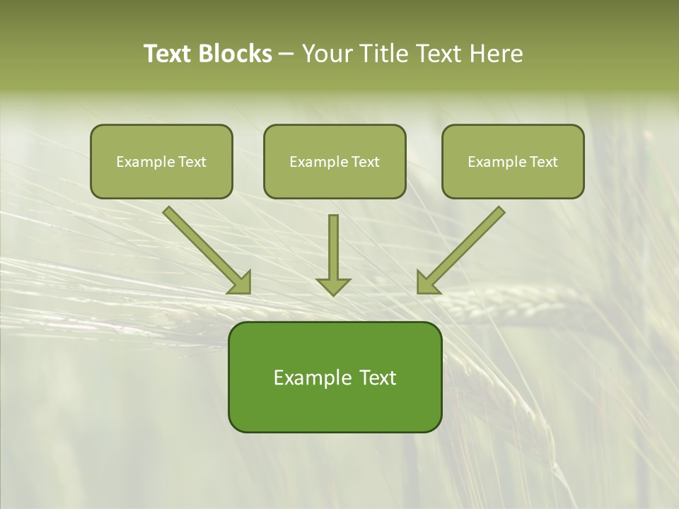 Harvest Reaping Kernel PowerPoint Template