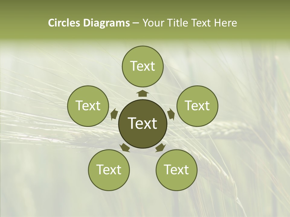 Harvest Reaping Kernel PowerPoint Template