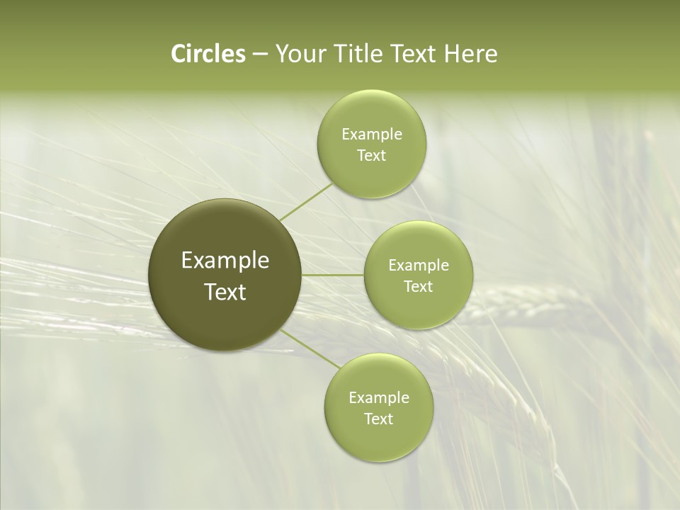 Harvest Reaping Kernel PowerPoint Template