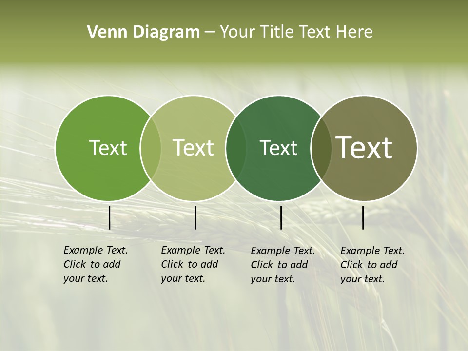 Harvest Reaping Kernel PowerPoint Template