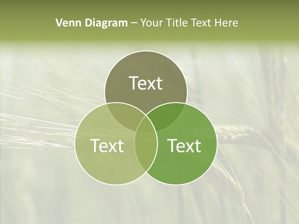 Harvest Reaping Kernel PowerPoint Template