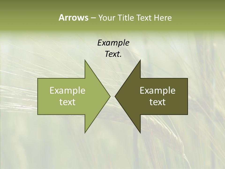 Harvest Reaping Kernel PowerPoint Template