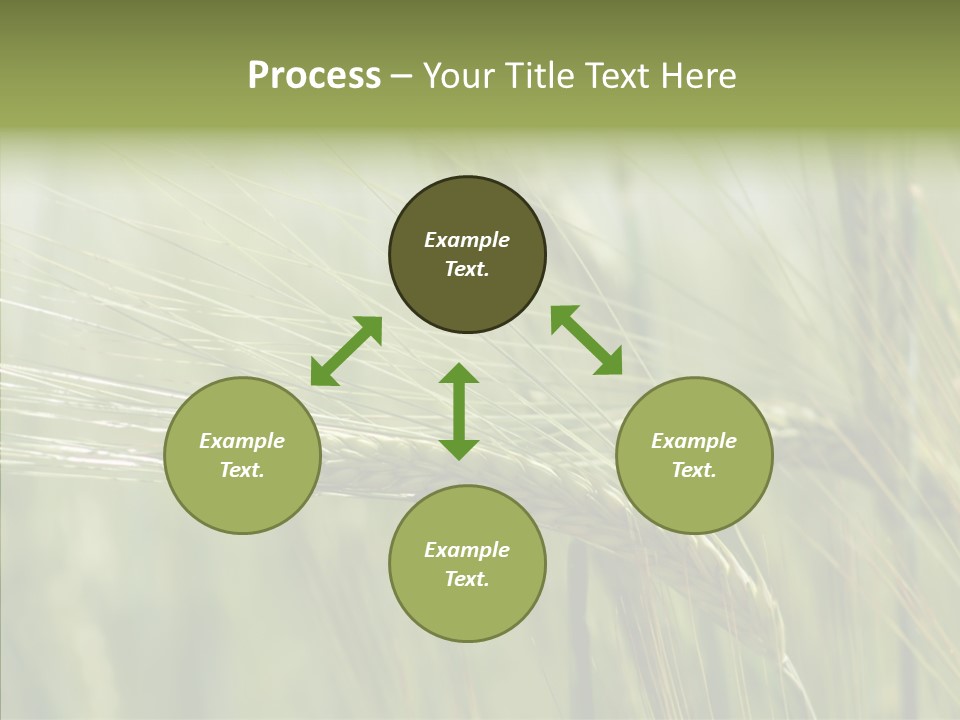 Harvest Reaping Kernel PowerPoint Template