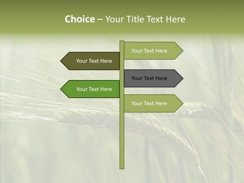 Harvest Reaping Kernel PowerPoint Template
