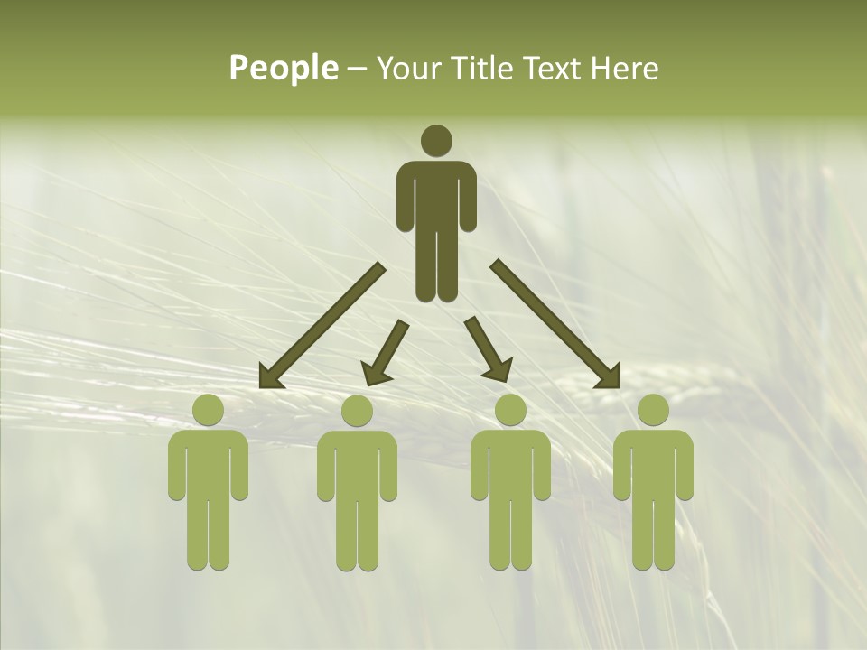 Harvest Reaping Kernel PowerPoint Template