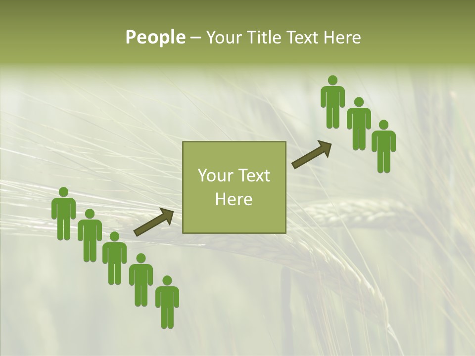 Harvest Reaping Kernel PowerPoint Template