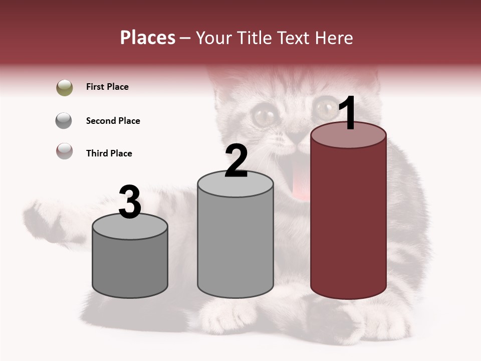 Big Background Tabby PowerPoint Template