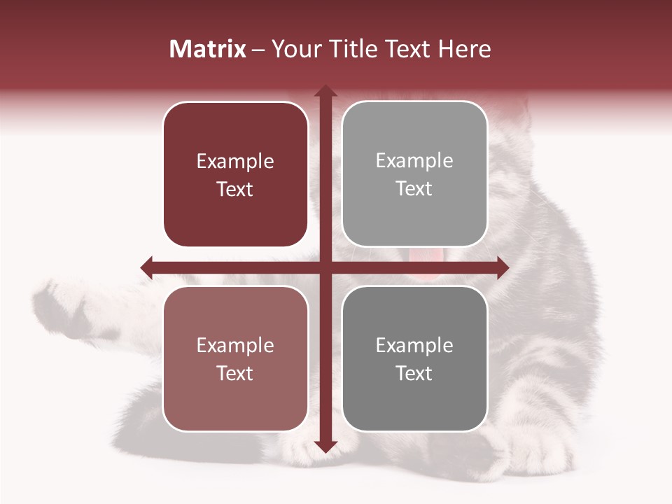 Big Background Tabby PowerPoint Template