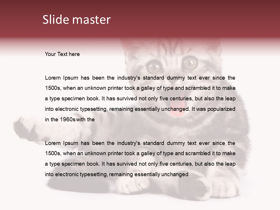 Big Background Tabby PowerPoint Template
