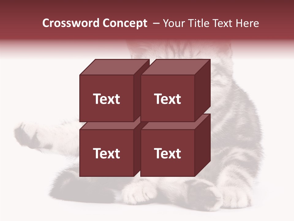 Big Background Tabby PowerPoint Template