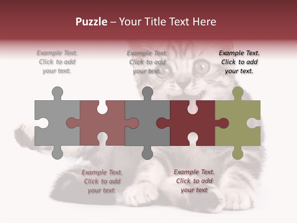 Big Background Tabby PowerPoint Template