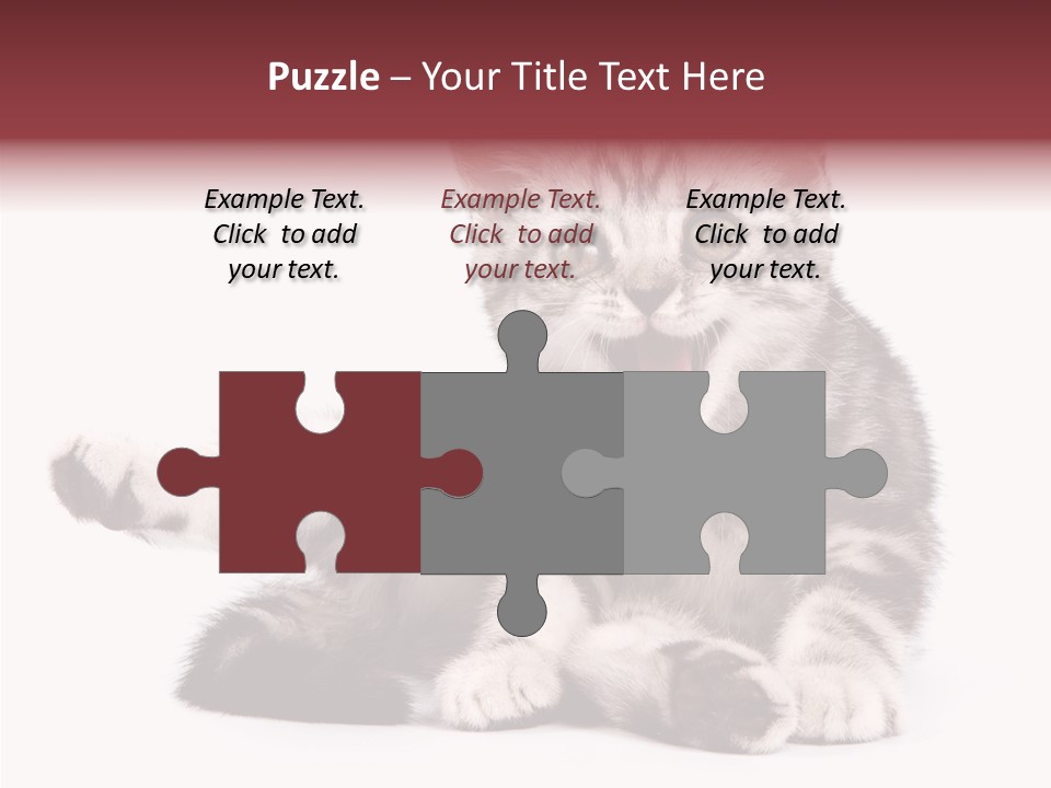 Big Background Tabby PowerPoint Template