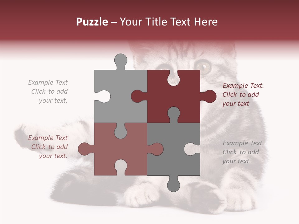 Big Background Tabby PowerPoint Template