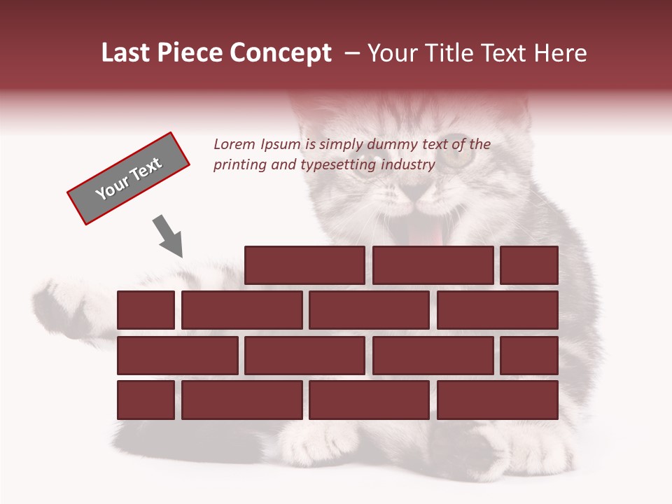 Big Background Tabby PowerPoint Template