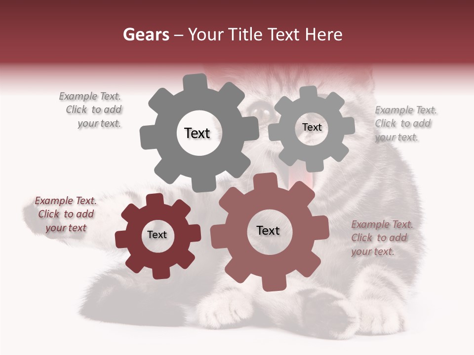 Big Background Tabby PowerPoint Template