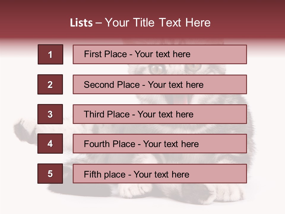 Big Background Tabby PowerPoint Template